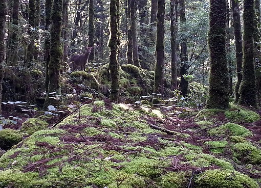 20130503_082819-2.jpg