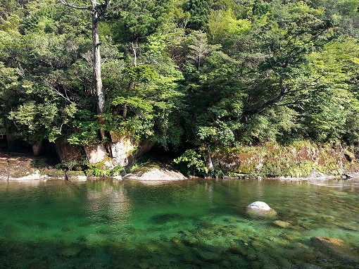 20130503_163732.jpg