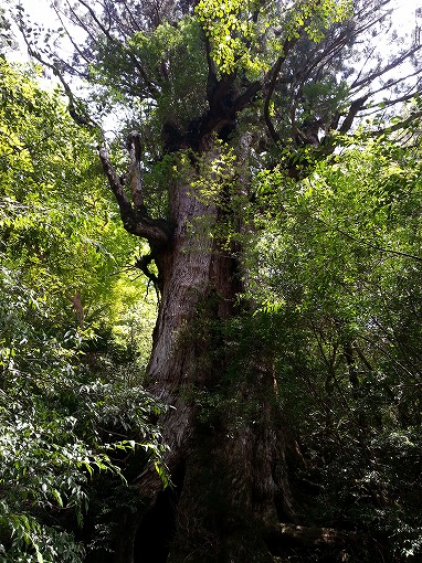 20130506_105917.jpg