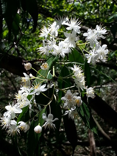 20130506_110139.jpg
