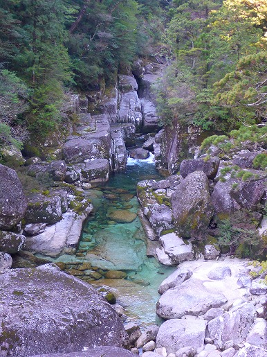 P1050333.jpg