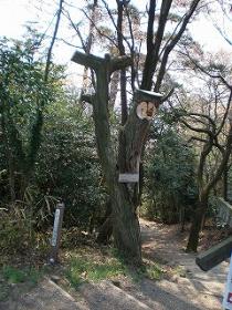 国道180号