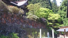 石楠花レポート3
