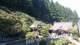 石楠花レポート6