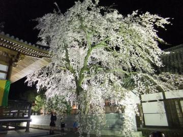 無量寺