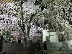 無量寺4