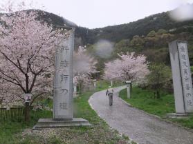白峯寺2