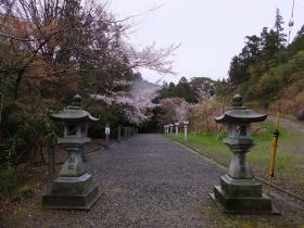 白峯寺7