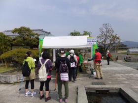 花遍路8