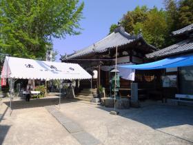 DSCF0855.jpg