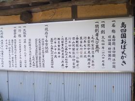 ワンダーランド10