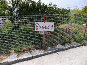 島四国87番4