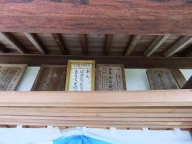 DSCF1054.jpg