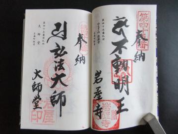 DSCF1117.jpg