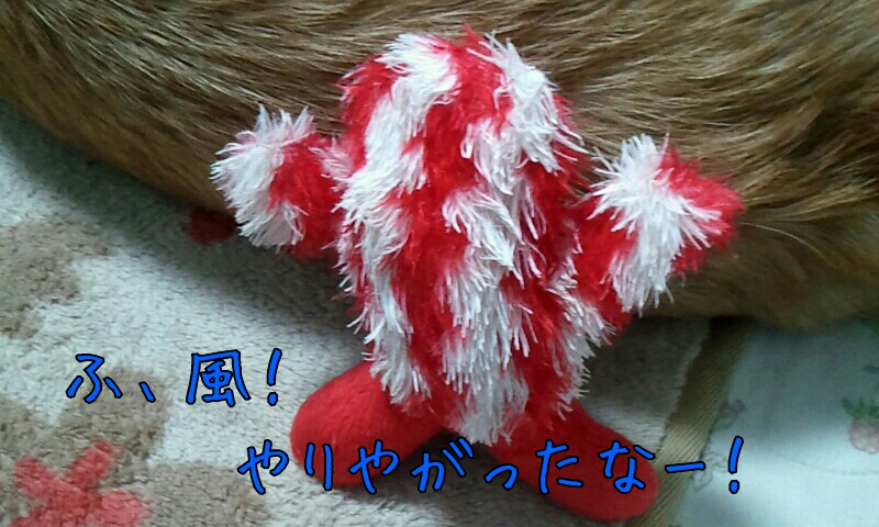 やりやがったなー!