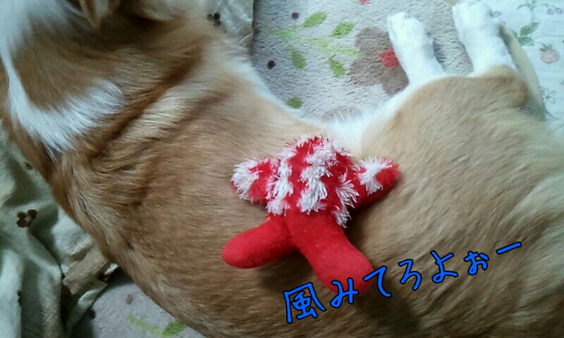 登って