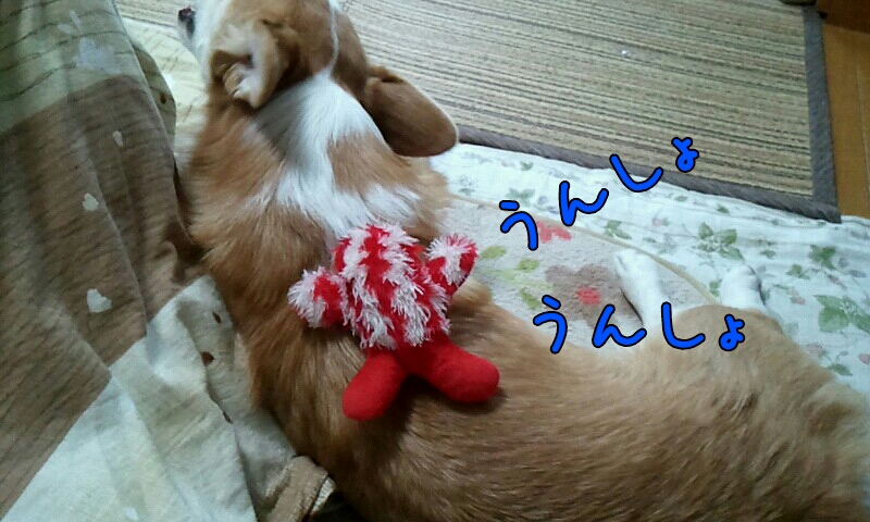 うんしょ