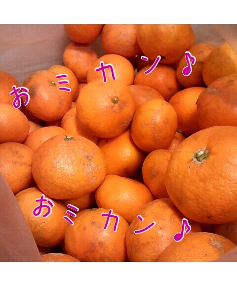 おミカン♪