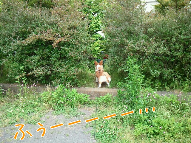 ふぅーーーーー…