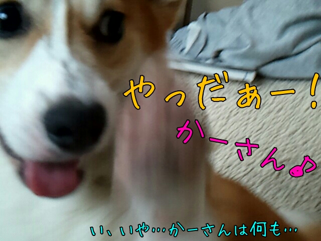 やっだぁー!