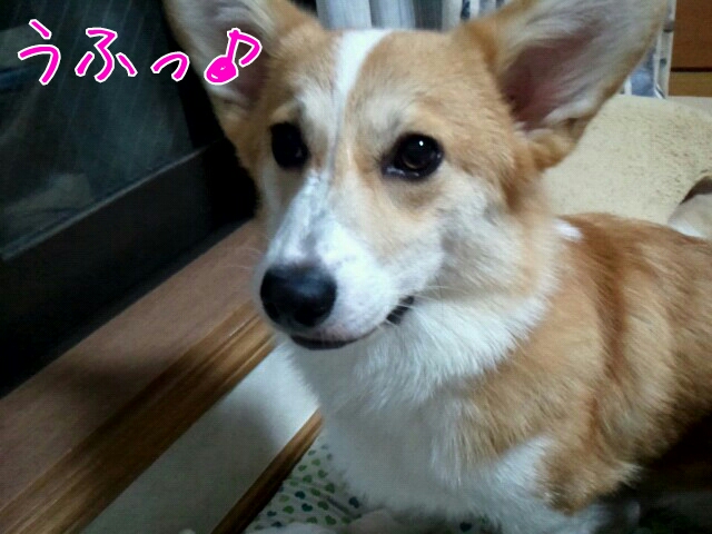 うふっ♪