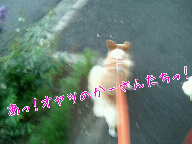 あっ!