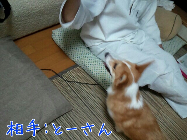 相手:とーさん