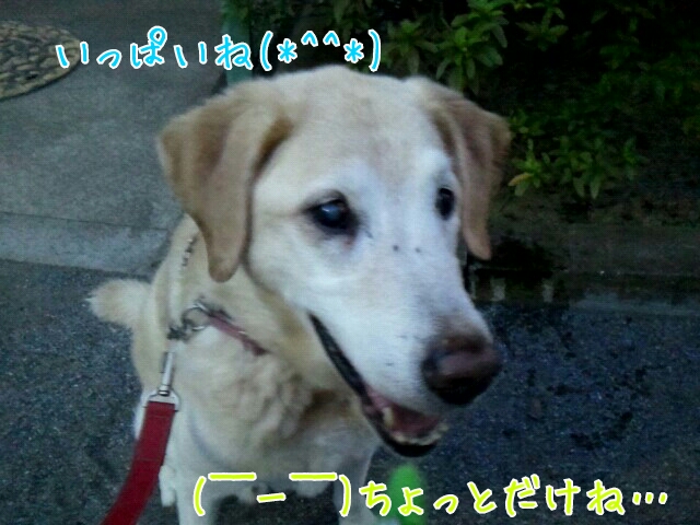 いっぱいね(*^^*)