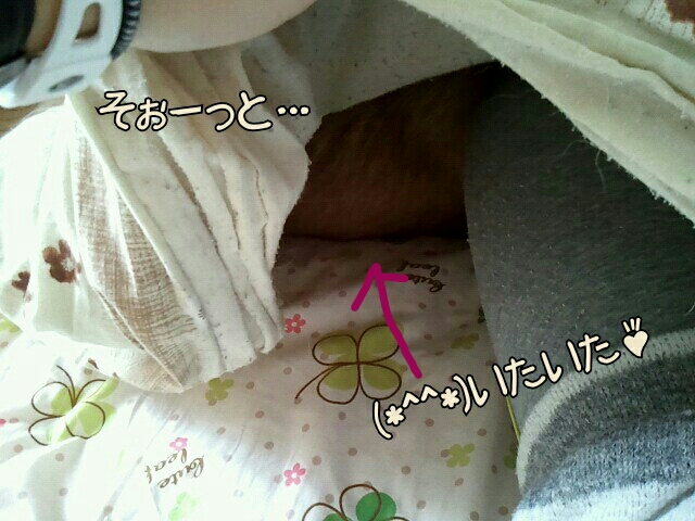 コタツ風1
