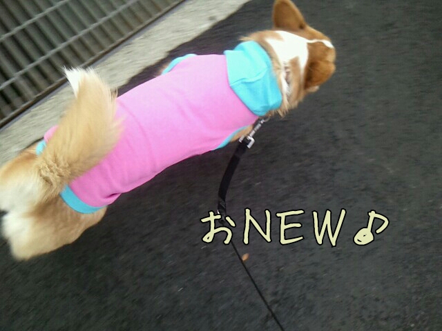 おNEW♪