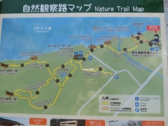 散策MAP