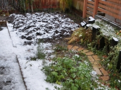 積雪