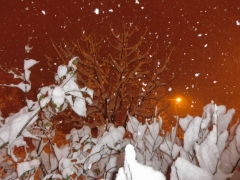 雪