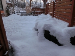雪の庭