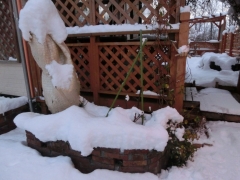 雪の庭