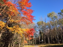 いつもの公園