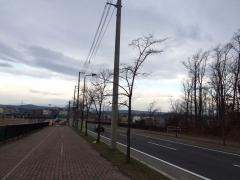 ラン1