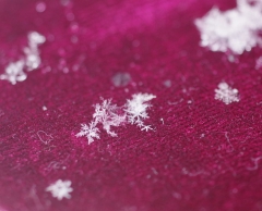 雪の結晶