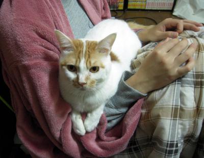kotya20121210_1