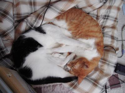 tyata20121022_1