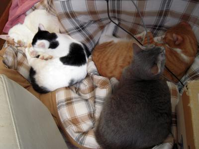 tyata20121230_1
