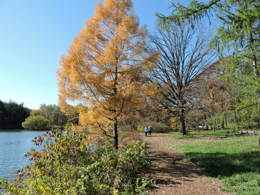 2014102501.jpg