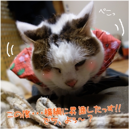 床に落としてしまって~Σ( @ω@=)