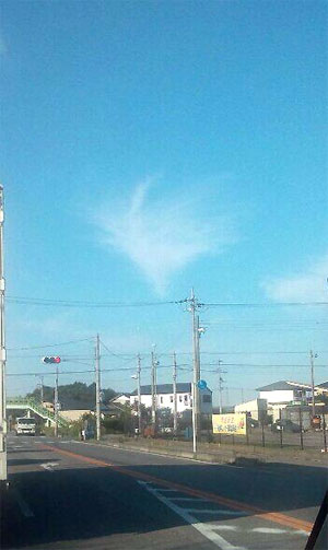 02_20121019081434.jpg