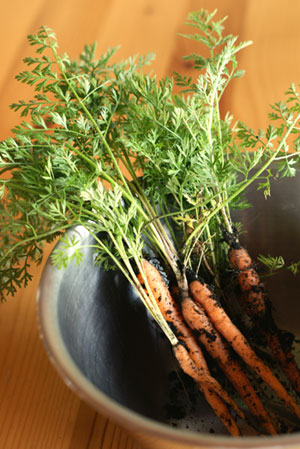 ninjin_20120710171440.jpg