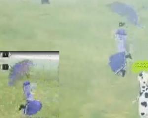傘を持ったロナ3