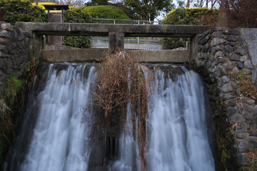 京都鴨川0106