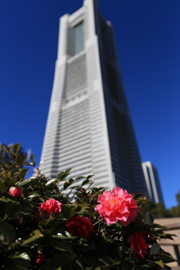 横浜スナップ02ランドマーク04