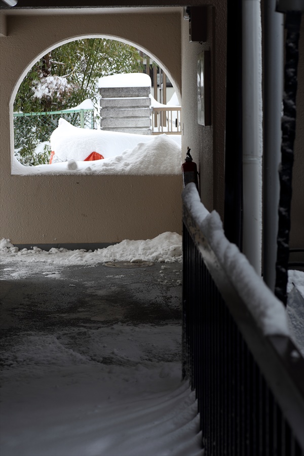 仙台大雪01