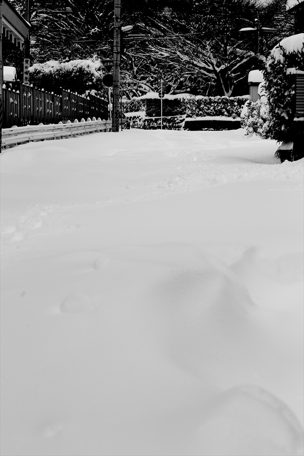 仙台大雪03